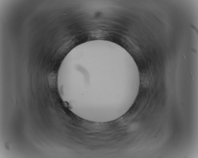 X0000090980036200708301300