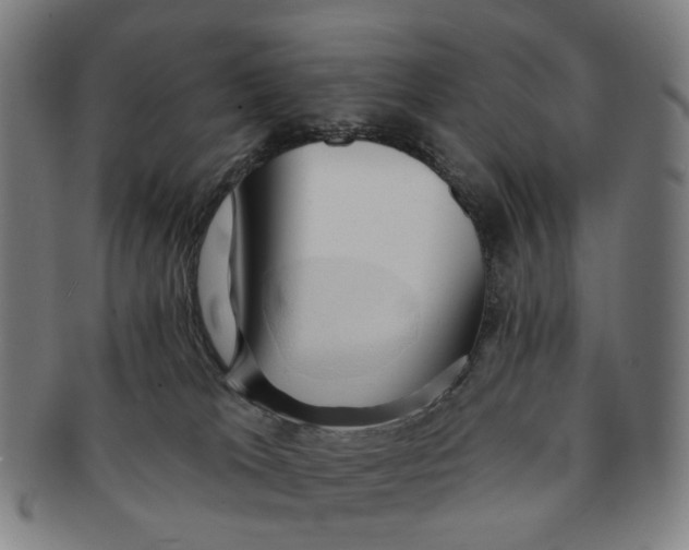 X0000090980037200708301300