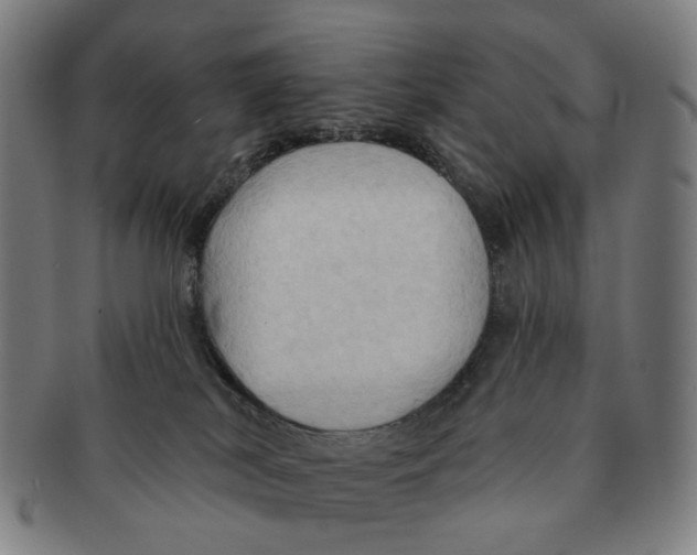 X0000090980038200708301300