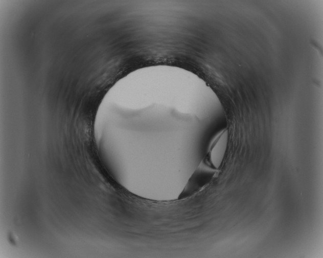 X0000090980039200708301300