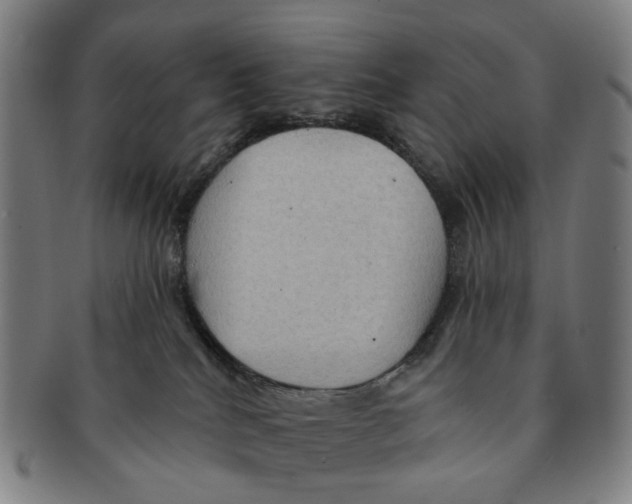 X0000090980040200708301300