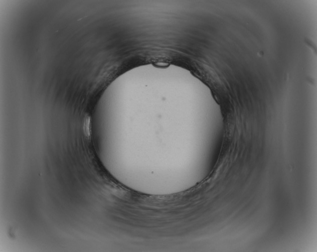 X0000090980041200708301300