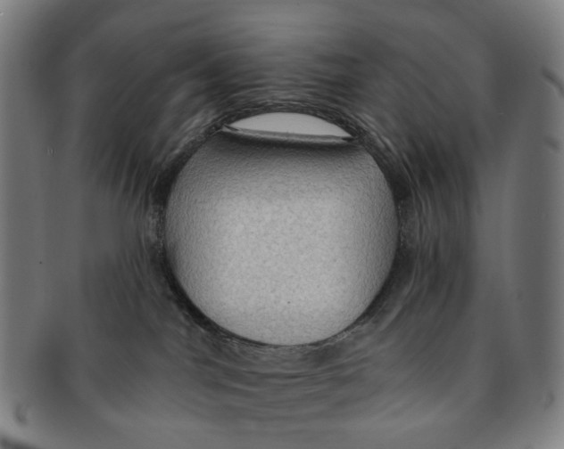 X0000090980044200708301259