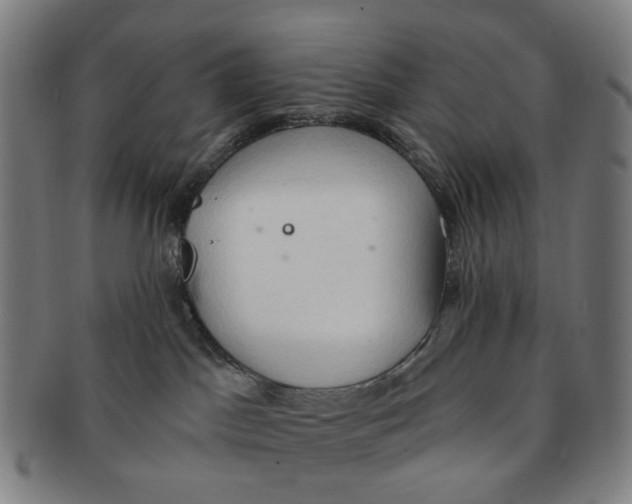 X0000090980045200708301259
