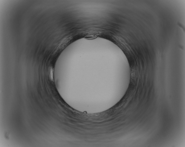 X0000090980046200708301259