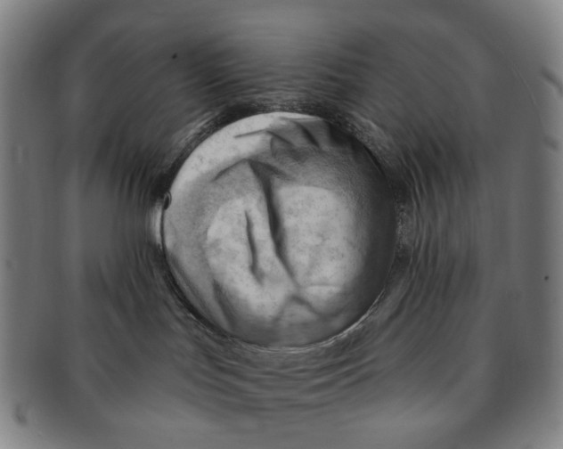 X0000090980047200708301259