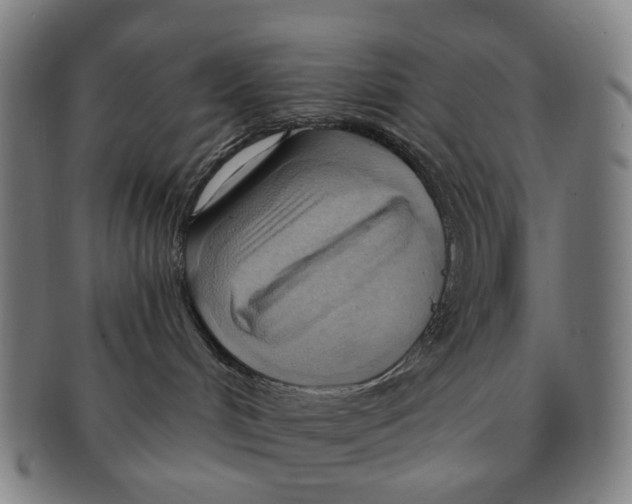 X0000090980048200708301259