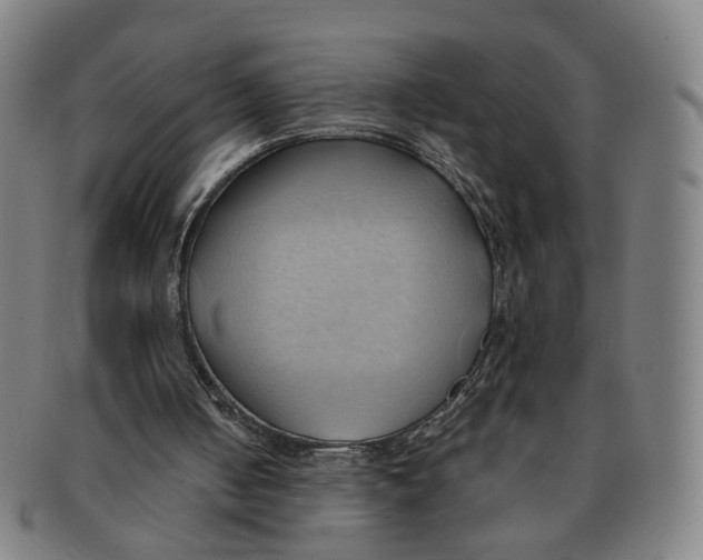 X0000090980050200708301259