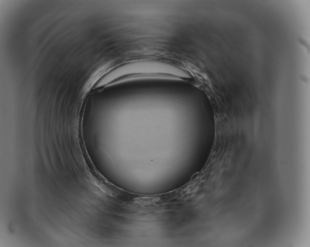 X0000090980051200708301259