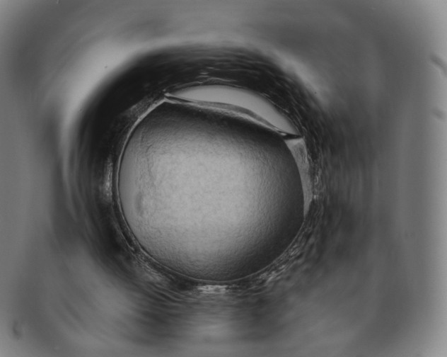 X0000090980052200708301259
