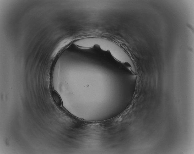 X0000090980054200708301259