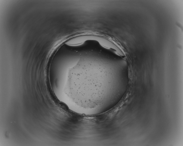 X0000090980055200708301259