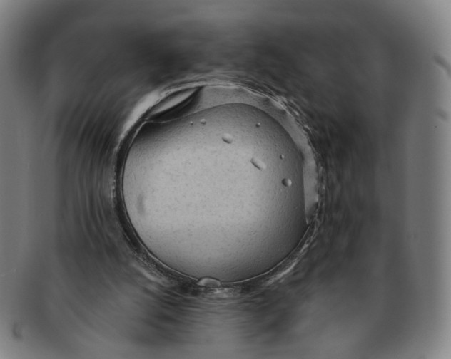 X0000090980056200708301259