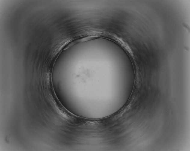 X0000090980057200708301259