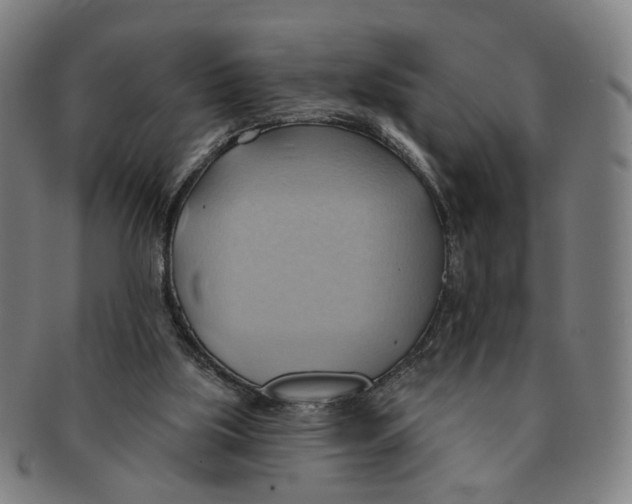 X0000090980059200708301259