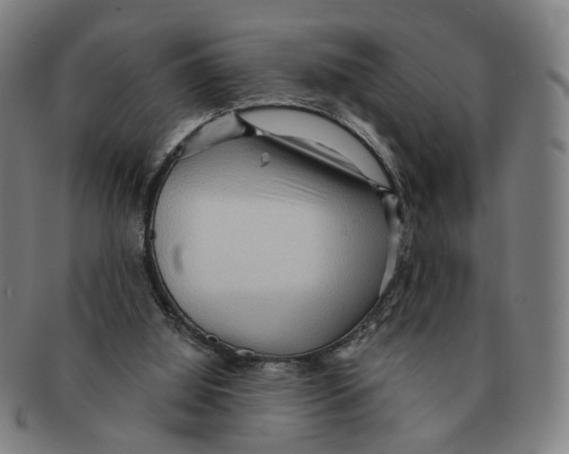 X0000090980060200708301259