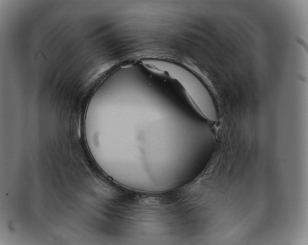 X0000090980062200708301259