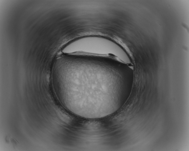 X0000090980063200708301259