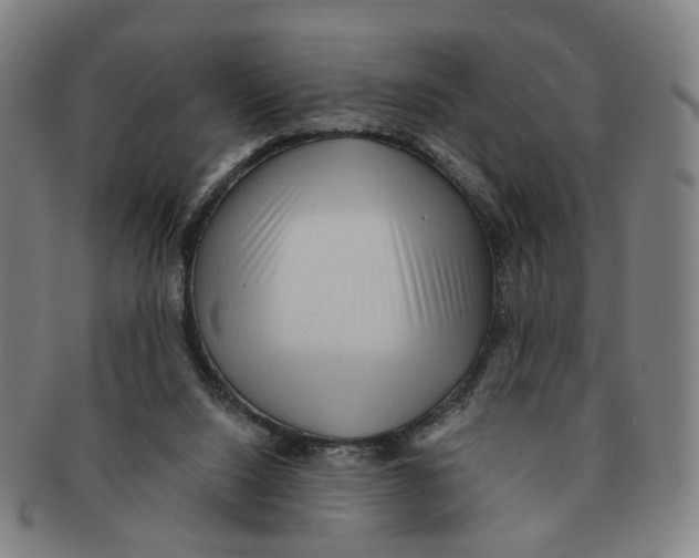 X0000090980064200708301259