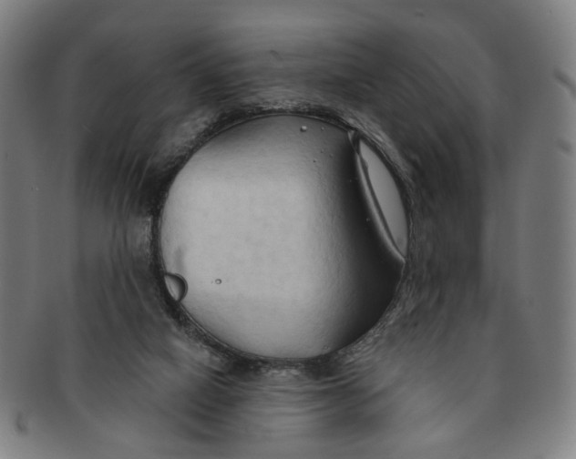 X0000090980066200708301259