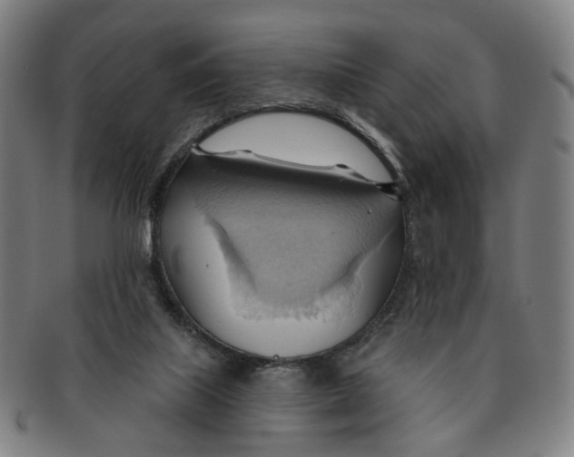 X0000090980067200708301259