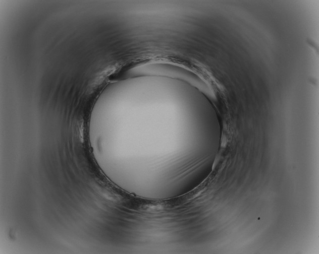 X0000090980068200708301259