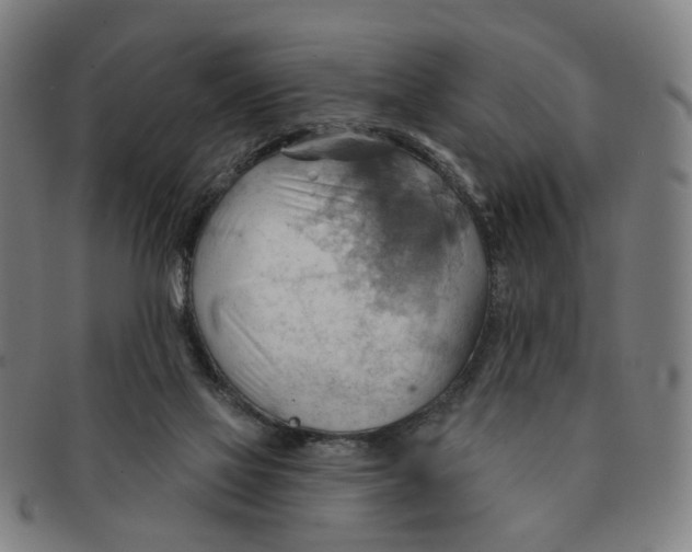 X0000090980069200708301259