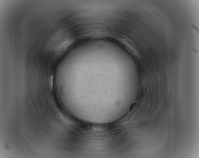 X0000090980070200708301259
