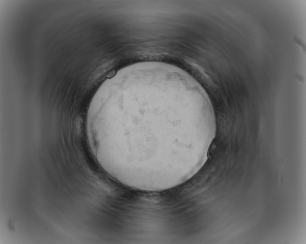 X0000090980071200708301259