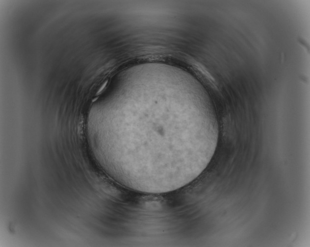 X0000090980073200708301259