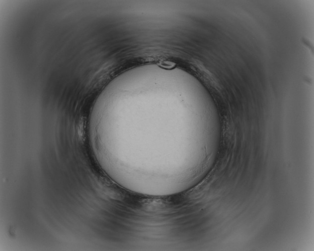 X0000090980074200708301259