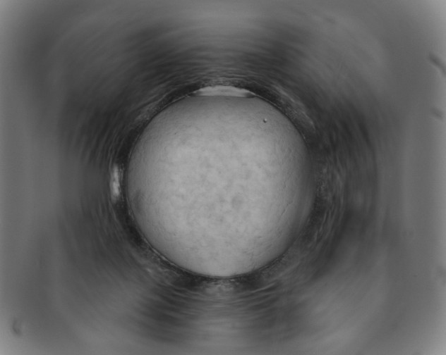 X0000090980075200708301259