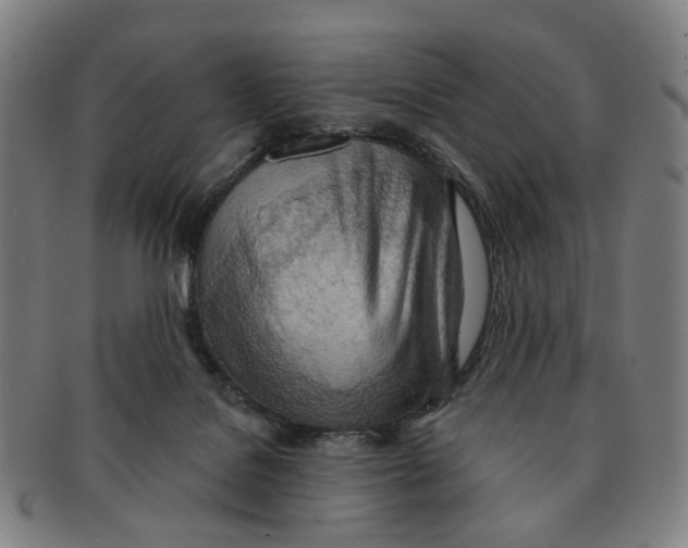 X0000090980076200708301259