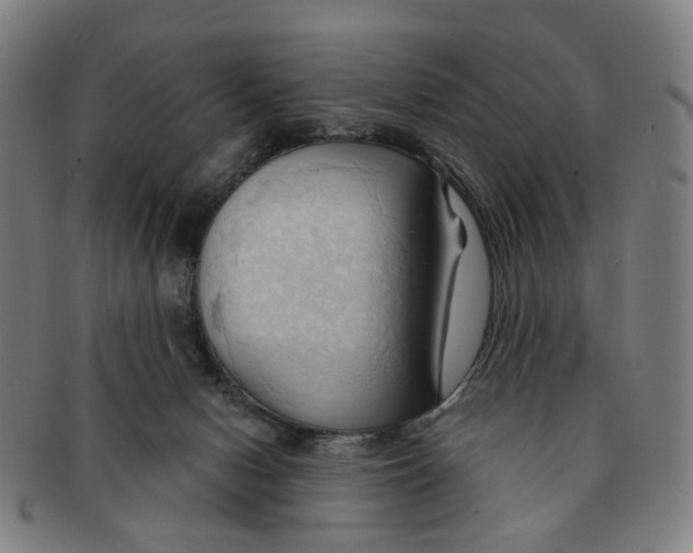 X0000090980078200708301259