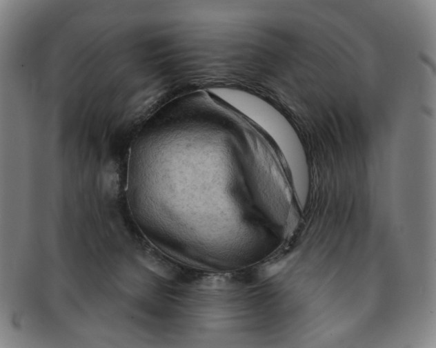 X0000090980080200708301259