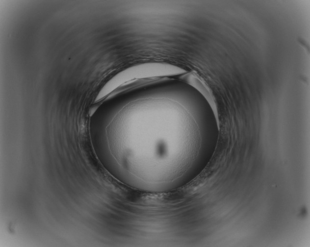 X0000090980084200708301259