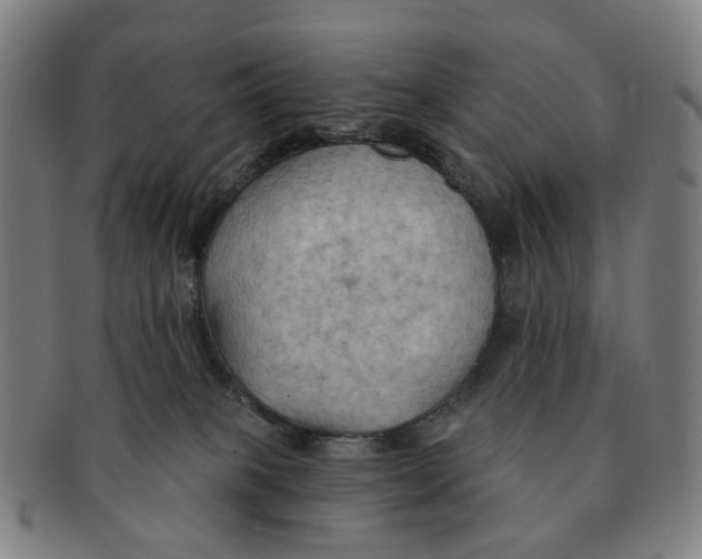 X0000090980085200708301259