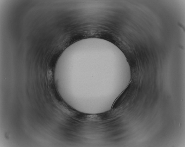 X0000090980087200708301259