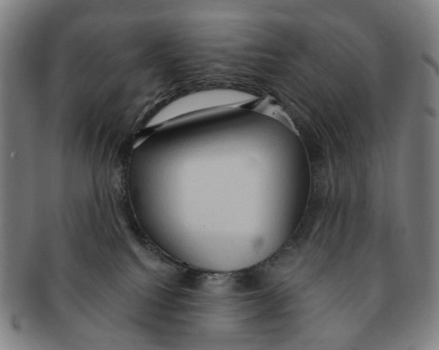 X0000090980088200708301259