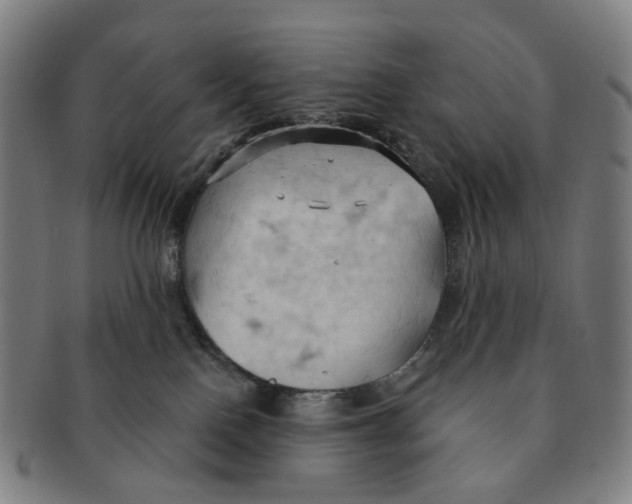 X0000090980090200708301259