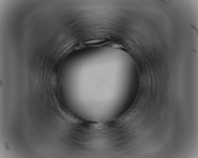 X0000090980092200708301259