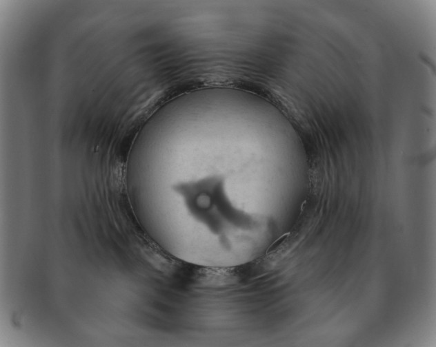 X0000090980093200708301259