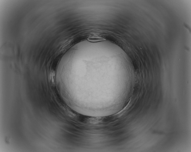 X0000090980094200708301259
