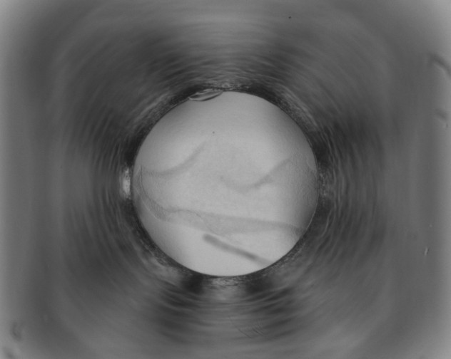 X0000090980095200708301259