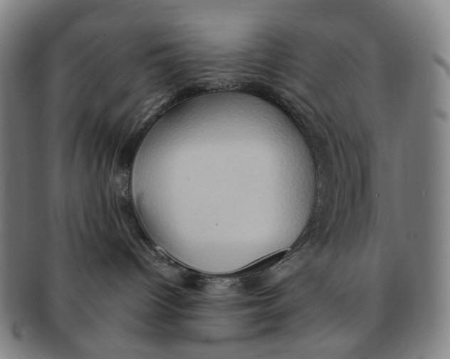 X0000090980096200708301259