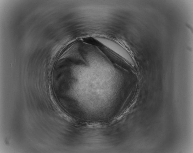X0000090980097200708301259