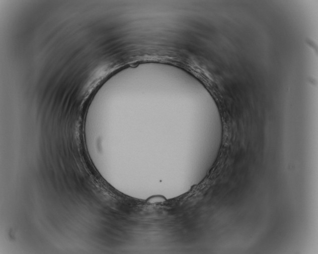 X0000090980098200708301259