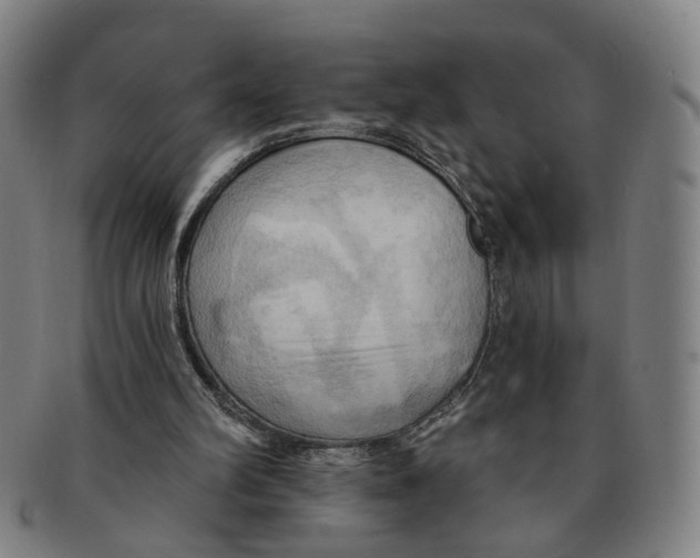 X0000090980102200708301259