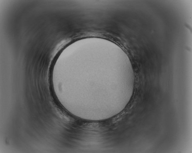 X0000090980104200708301259