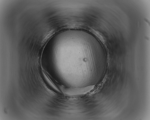 X0000090980105200708301259
